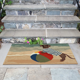 Trans Ocean Frontporch 4496/04 Coastal Dog Blue Area Rug by Liora Manne Room Scene Image Feature