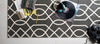 Loloi Felix FX-03 Charcoal / Ivory Area Rug Roomscene Feature