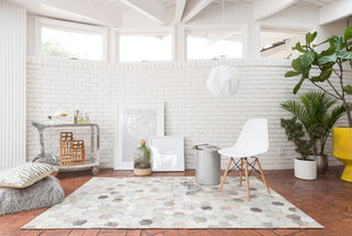 Loloi Promenade PO-02 Grey Area Rug Roomscene Feature