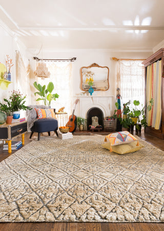 Loloi Sahara SJ-03 Sand Area Rug Room Scene 2