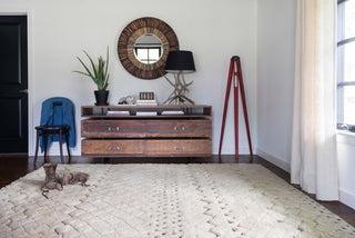 Loloi Tanzania TN-01 Sand Area Rug Roomscene Feature