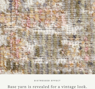 Loloi Rosemarie ROE-01 Sage/Blush Area Rug by Chris Loves Julia Close up