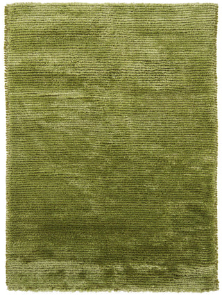 Chandra Royal ROY-15101 Green Area Rug main image