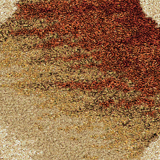 Orian Rugs Royal Shag Color Hive Multi Area Rug Swatch