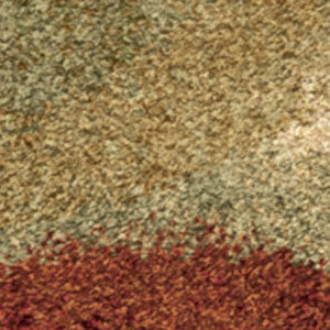 Orian Rugs Royal Shag Bubbles Multi Area Rug Swatch