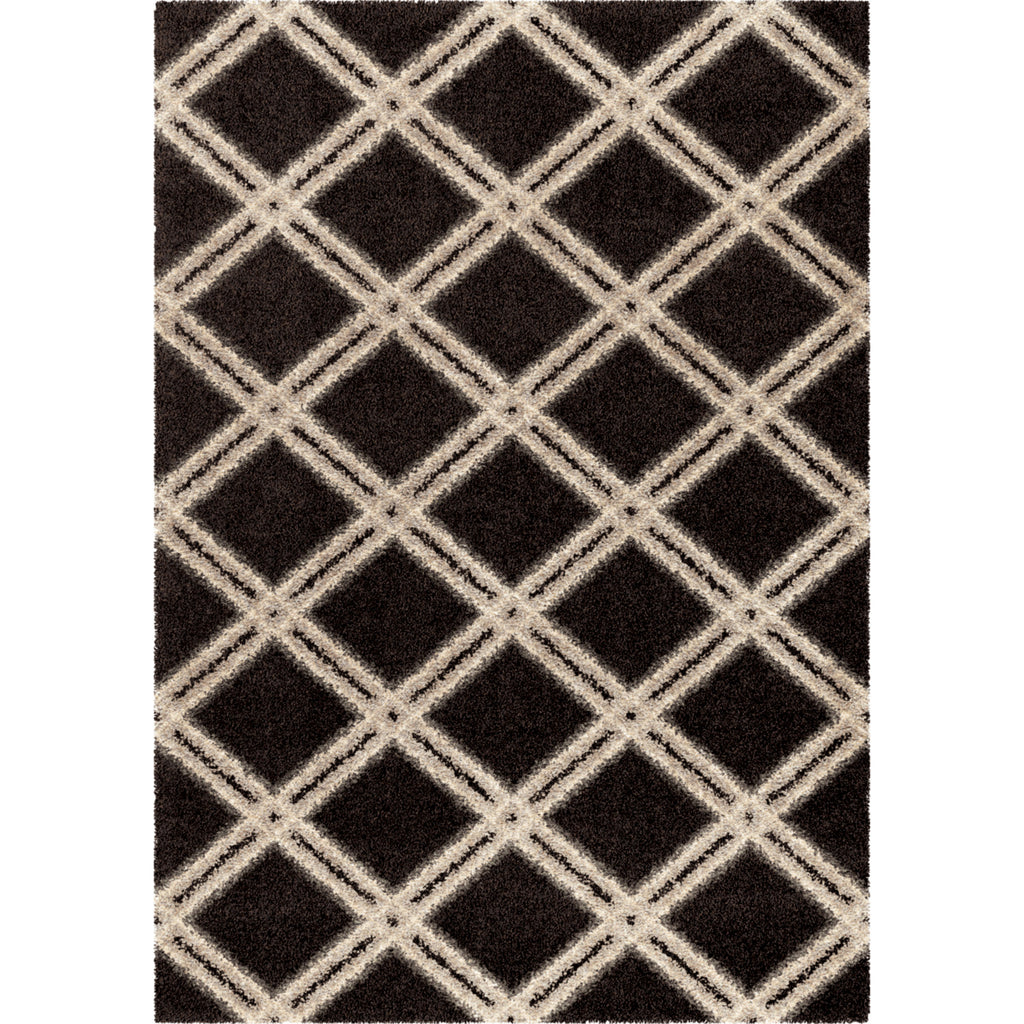 Orian Rugs Royal Shag Guarded Secret Black Area Rug main image