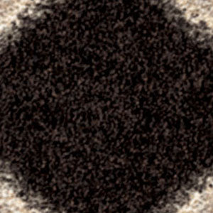 Orian Rugs Royal Shag Guarded Secret Black Area Rug Swatch