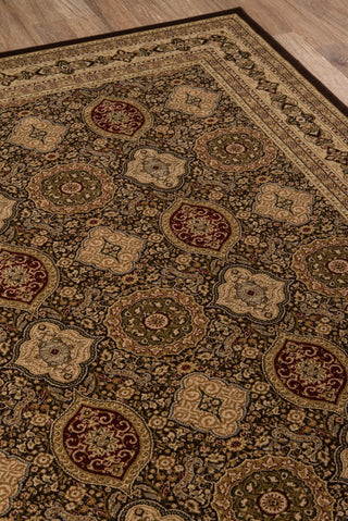 Momeni Royal RY-01 Brown Area Rug Closeup