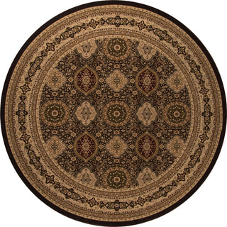 Momeni Royal RY-01 Brown Area Rug Detail Shot