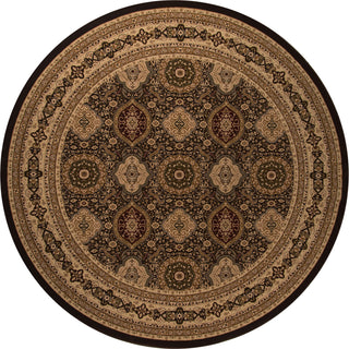 Momeni Royal RY-01 Brown Area Rug