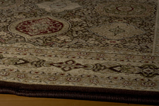 Momeni Royal RY-01 Brown Area Rug Closeup