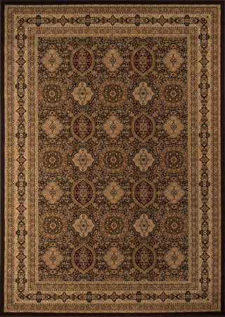 Momeni Royal RY-01 Brown Area Rug main image