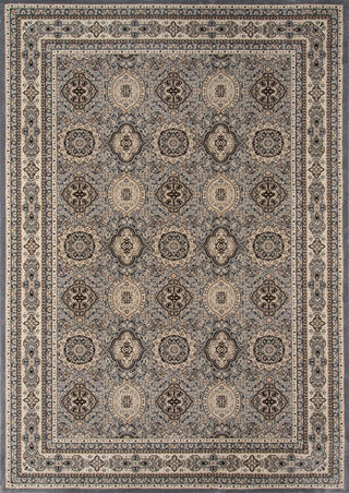 Momeni Royal RY-01 Grey Area Rug main image