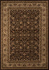 Momeni Royal RY-02 Brown Area Rug main image