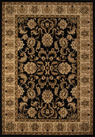 Momeni Royal RY-04 Black Area Rug main image