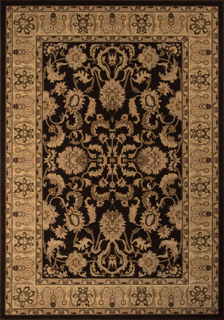 Momeni Royal RY-04 Brown Area Rug main image