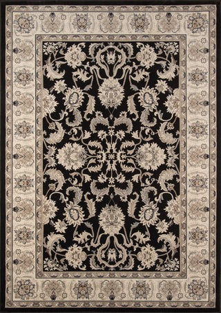 Momeni Royal RY-04 Charcoal Area Rug main image