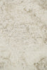 Loloi Royal Shag RS-01 Beige Area Rug main image