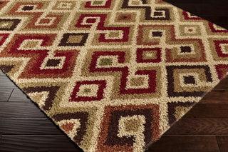Surya Rosario RSO-4613 Burgundy Shag Weave Area Rug Corner Shot