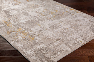 Surya Roswell RSW-2304 Area Rug Corner Shot