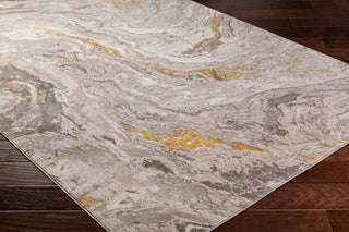Surya Roswell RSW-2306 Area Rug Corner Shot