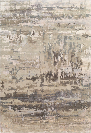 Surya Arte RTE-2303 Area Rug main image