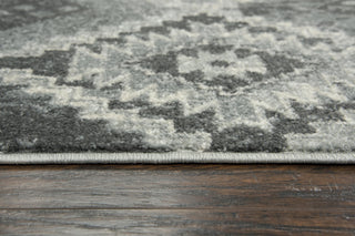 Rizzy Rothport RTP107 Gray Area Rug Style Image