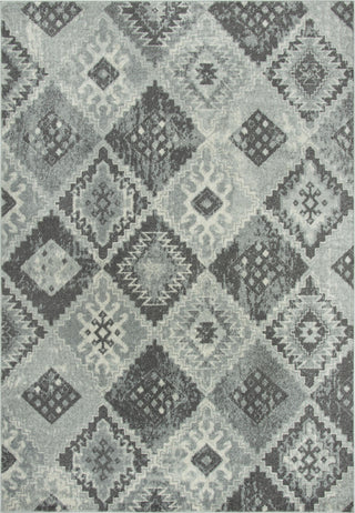 Rizzy Rothport RTP107 Gray Area Rug main image