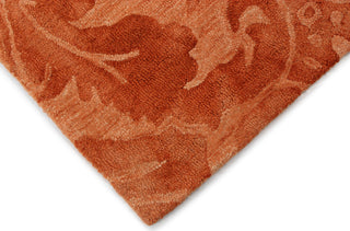 Dalyn Rubio RU1 Orange Area Rug Detail Image