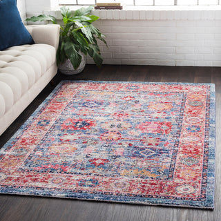 Surya Rumi RUM-2301 Area Rug Room Image Feature