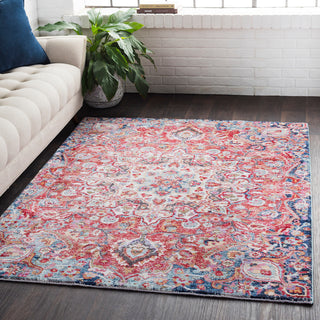 Surya Rumi RUM-2305 Area Rug Room Image Feature