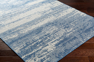 Surya Ravello RVL-2303 Area Rug Corner Shot