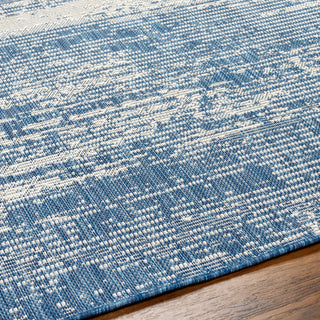 Surya Ravello RVL-2303 Area Rug Detail