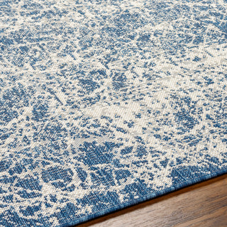 Surya Ravello RVL-2306 Area Rug Detail