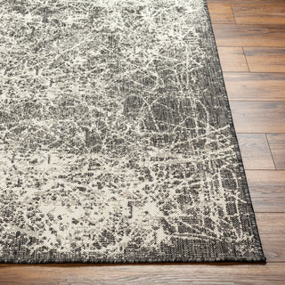 Surya Ravello RVL-2308 Area Rug Angle