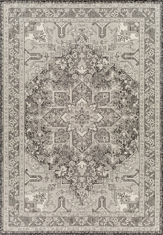 Surya Ravello RVL-2311 Area Rug main image