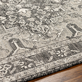 Surya Ravello RVL-2311 Area Rug Detail