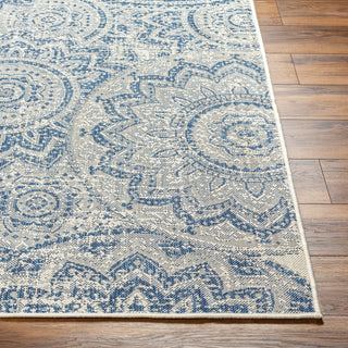 Surya Ravello RVL-2312 Area Rug Angle