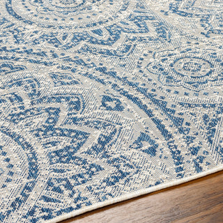 Surya Ravello RVL-2312 Area Rug Detail