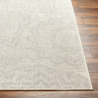 Surya Ravello RVL-2313 Area Rug Angle