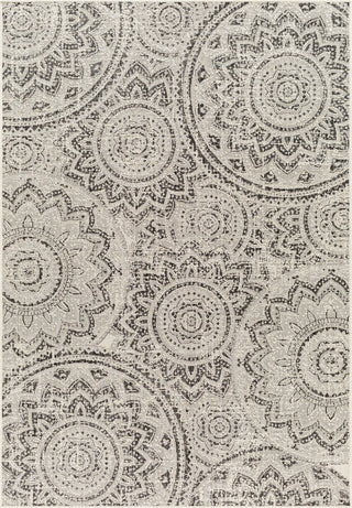 Surya Ravello RVL-2314 Area Rug main image