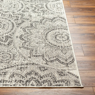 Surya Ravello RVL-2314 Area Rug Angle