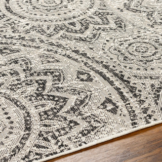 Surya Ravello RVL-2314 Area Rug Detail