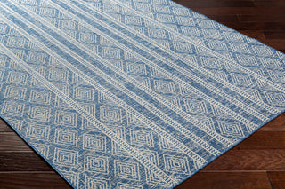 Surya Ravello RVL-2321 Area Rug Corner Shot