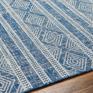 Surya Ravello RVL-2321 Area Rug Detail