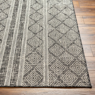 Surya Ravello RVL-2323 Area Rug Angle