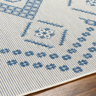 Surya Ravello RVL-2324 Area Rug Detail