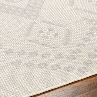 Surya Ravello RVL-2325 Area Rug Detail