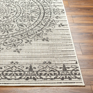 Surya Ravello RVL-2332 Area Rug Angle