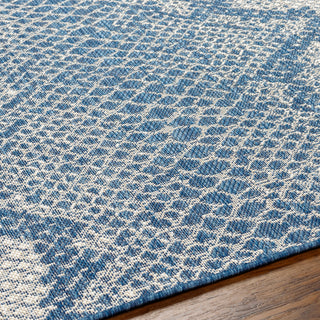 Surya Ravello RVL-2345 Area Rug Detail